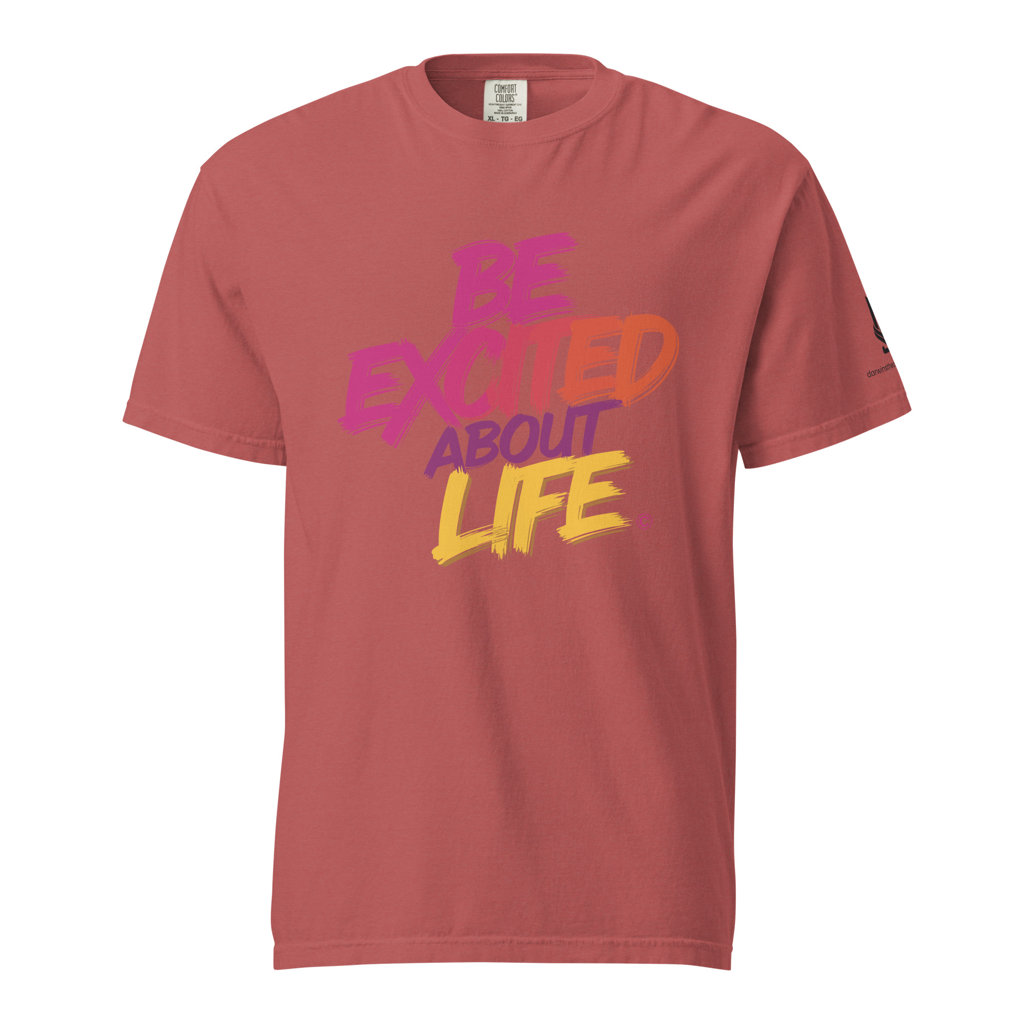 EXCITED ABOUT LIFE • Unisex Vintage Washed Tee - Image 2